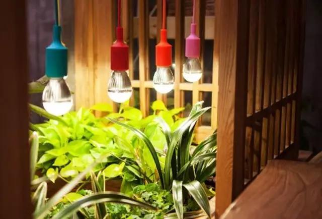 心田種植食材展示